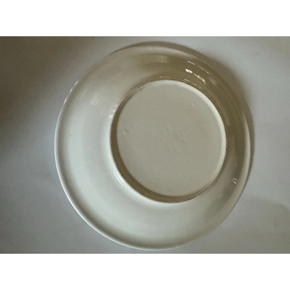 Set of 4- Pfaltzgraff Ocean Breeze Stoneware Dinner Plates
